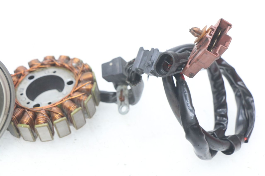 photo de ROTOR ESTATOR PEUGEOT GEOPOLIS 400 (2007 - 2013) - Zoom estado de uso
