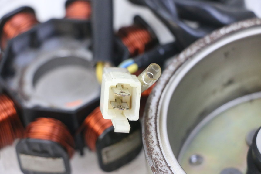 photo de ESTATOR GOES WIKI 125 (2010 - 2015) - Otra perspectiva