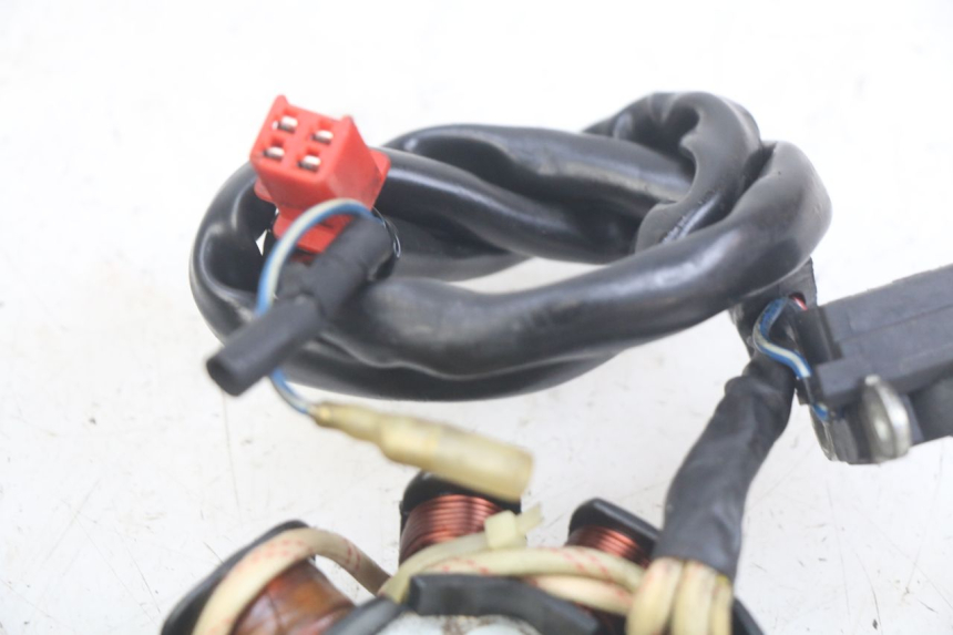 photo de ROTOR ESTATOR REVATTO IMPERATOR 125 (2007 - 2015) - Primer plano técnico