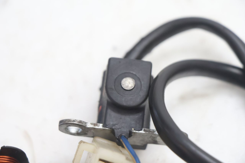 photo de ESTATOR PEUGEOT LUDIX ONE 14P 50 (2004 - 2013) - Marcados y referencias originales