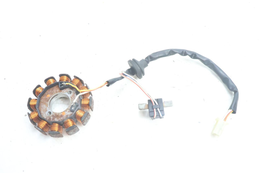 photo de ESTATOR YAMAHA NEO'S NEOS 2T 50 (1998 - 2007) - Detalles de los puntos de fijación