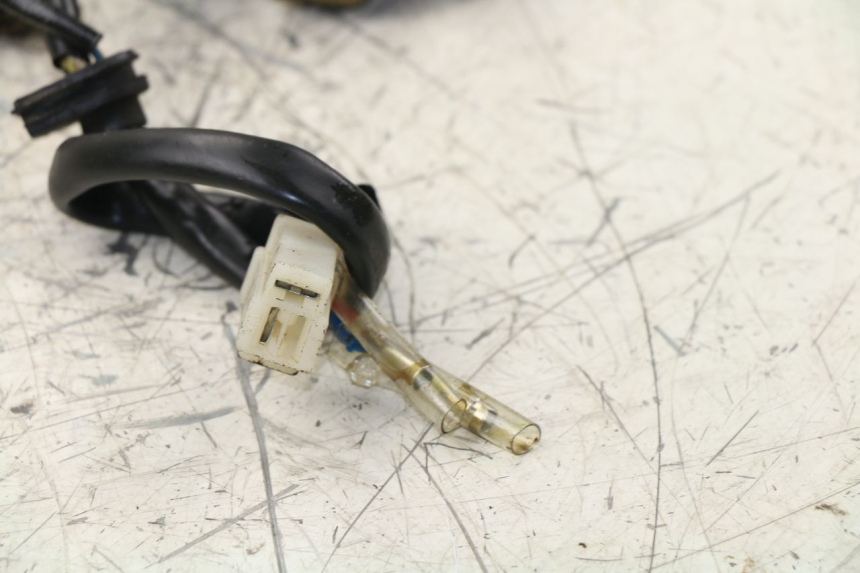 photo de ESTATOR ZNEN NEW ROLANDO 50 (2010 - 2020) - Otra perspectiva