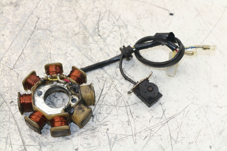 photo de ESTATOR ZNEN NEW ROLANDO 50 (2010 - 2020) - Vista general del producto