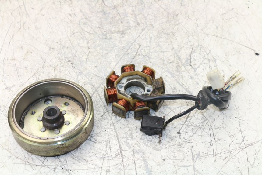 photo de ESTATOR ZNEN NEW ROLANDO 50 (2010 - 2020) - Recambio usado revisado