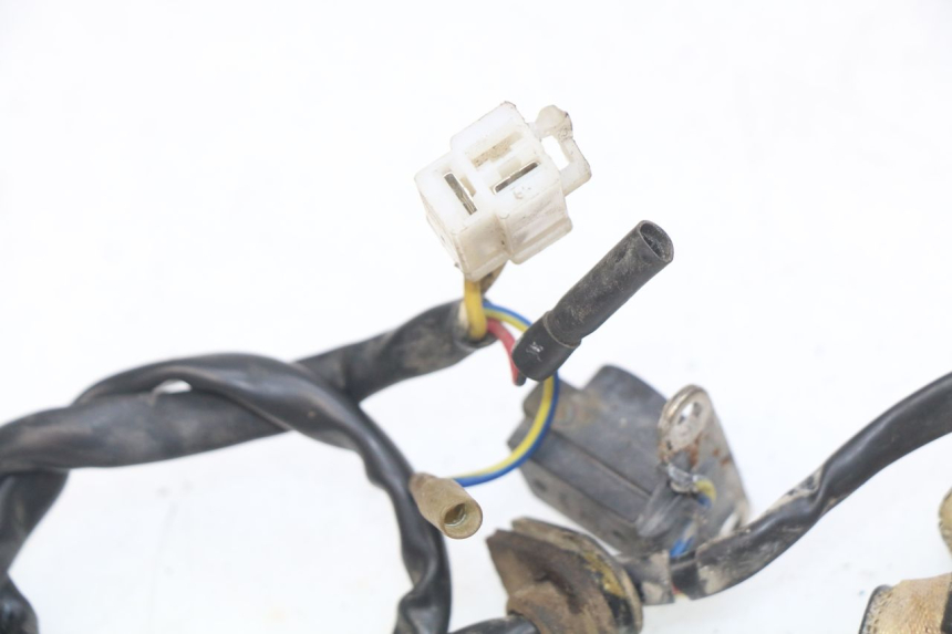 photo de ROTOR ESTATOR JM MOTORS OLDIES 4T 50 (2010 - 2020) - Zoom estado de uso