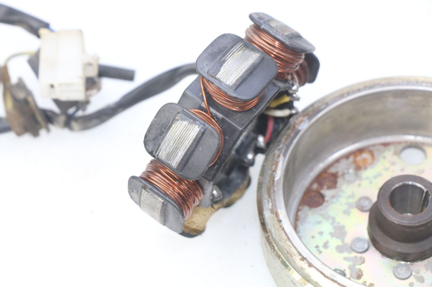 photo de ROTOR ESTATOR JM MOTORS OLDIES 4T 50 (2010 - 2020) - Otra perspectiva