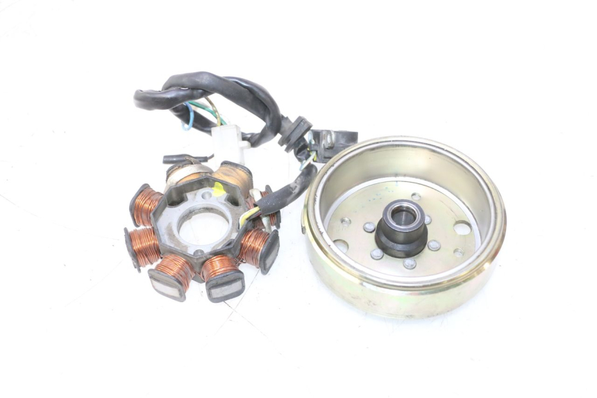 photo de ROTOR ESTATOR JM MOTORS OLDIES 4T 50 (2010 - 2020) - Características distintivas