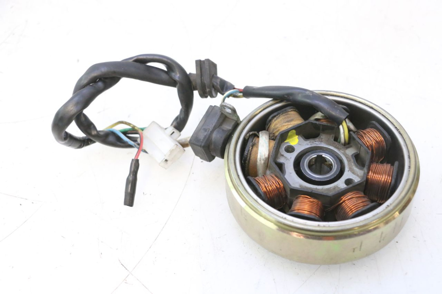 photo de ROTOR ESTATOR JM MOTORS OLDIES 4T 50 (2010 - 2020) - Primer plano técnico