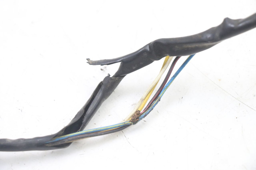 photo de ROTOR ESTATOR PEUGEOT TKR TREKKER FURIOUS 50 (2005 - 2014) - Características distintivas