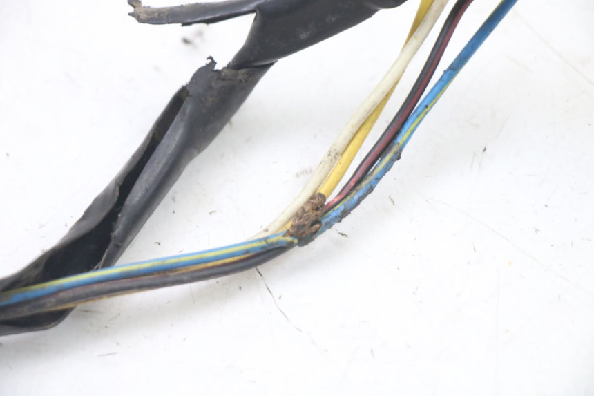 photo de ROTOR ESTATOR PEUGEOT TKR TREKKER FURIOUS 50 (2005 - 2014) - Zoom sobre los componentes