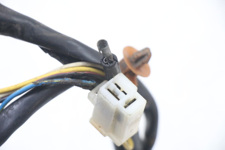 photo de ROTOR ESTATOR PEUGEOT TKR TREKKER FURIOUS 50 (2005 - 2014) - Primer plano de alta resolución