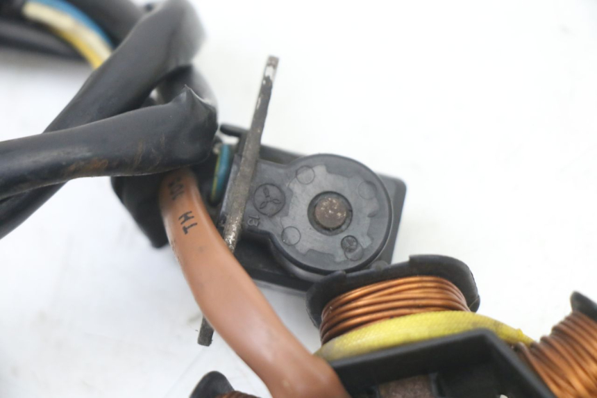 photo de ROTOR ESTATOR PEUGEOT TKR TREKKER FURIOUS 50 (2005 - 2014) - Recambio usado revisado