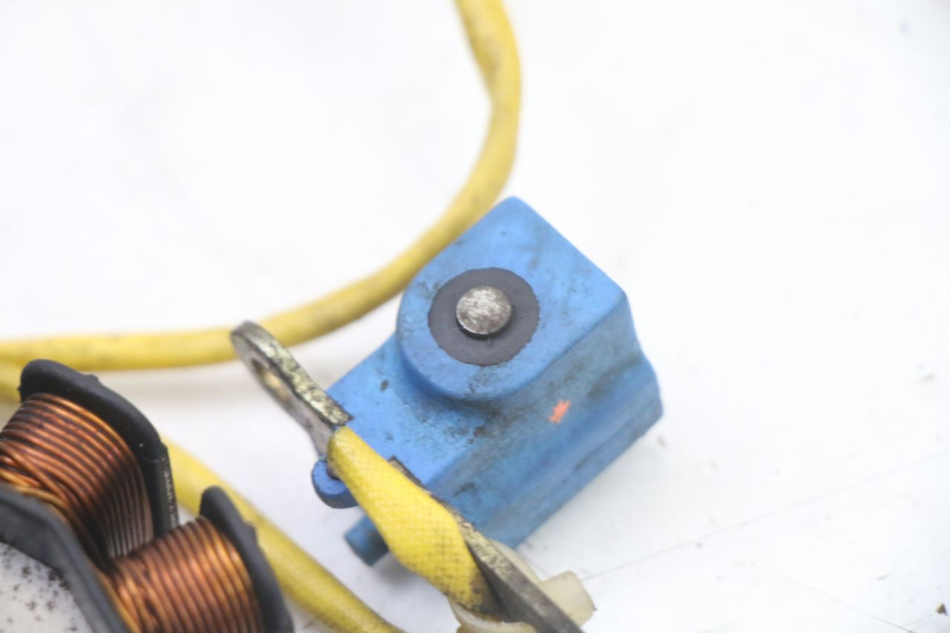 photo de ROTOR ESTATOR PIAGGIO X8 125 (2004 - 2007) - Recambio usado revisado