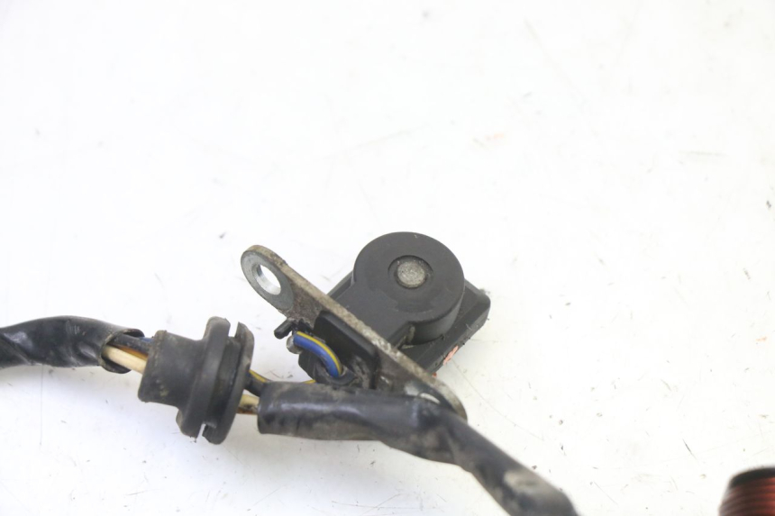 photo de ROTOR ESTATOR PGO RODOSHOW 2T 50 (2003 - 2007) - Vista general del producto