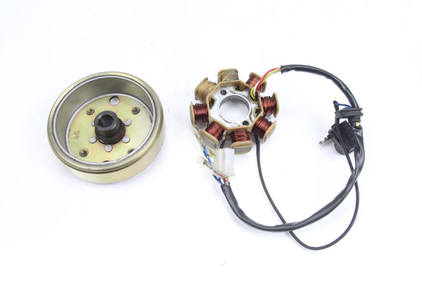 photo de ROTOR ESTATOR TNT MOTOR ROMA 10' 4T 50 (2007 - 2018) - Zoom estado de uso