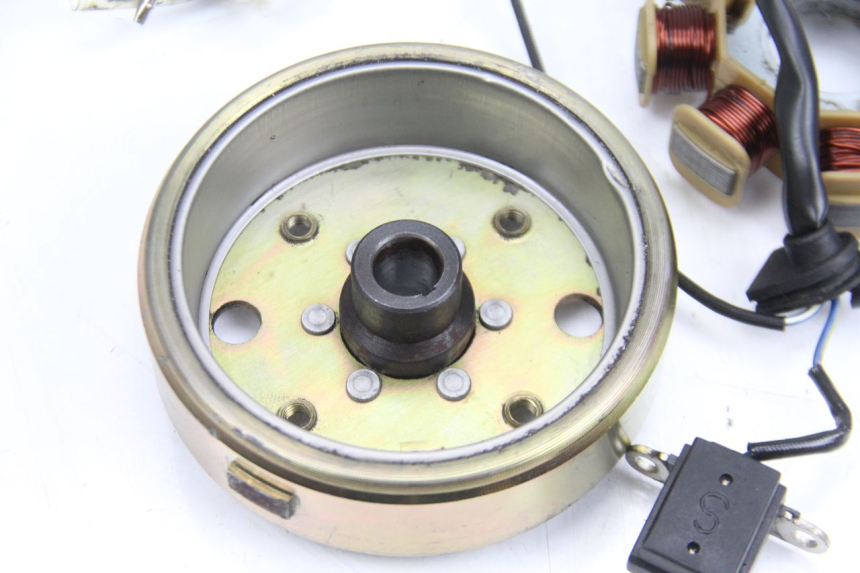 photo de ROTOR ESTATOR TNT MOTOR ROMA 10' 4T 50 (2007 - 2018) - Primer plano técnico