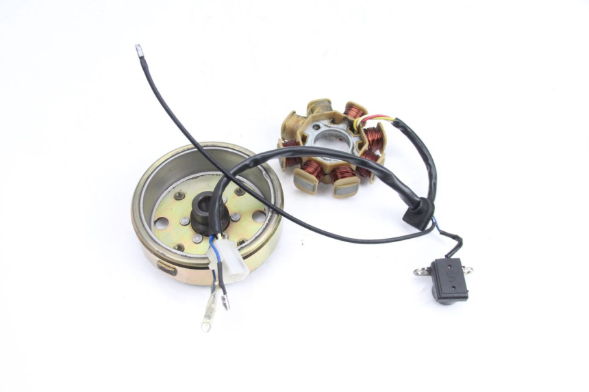 photo de ROTOR ESTATOR TNT MOTOR ROMA 10' 4T 50 (2007 - 2018) - Vista general del producto