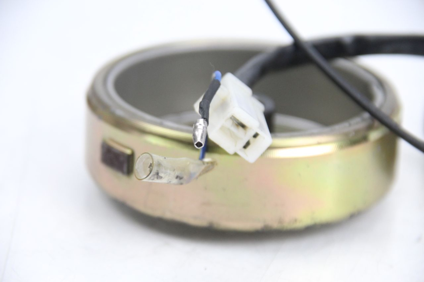 photo de ROTOR ESTATOR TNT MOTOR ROMA 10' 4T 50 (2007 - 2018) - Detalles de los puntos de fijación