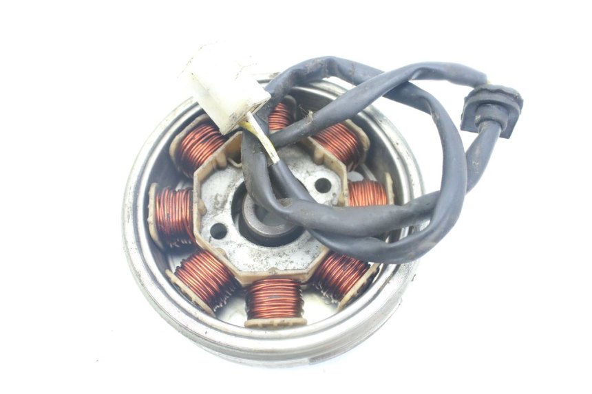 photo de ROTOR ESTATOR TNT MOTOR ROMA 10' 4T 50 (2019 - 2022) - Zoom estado de uso