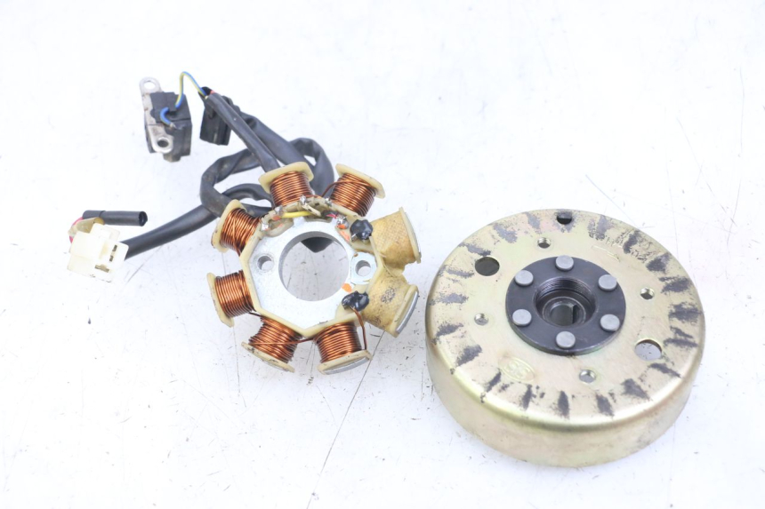 photo de ROTOR ESTATOR TNT MOTOR ROMA 10' 4T 50 (2007 - 2018) - Vista principal