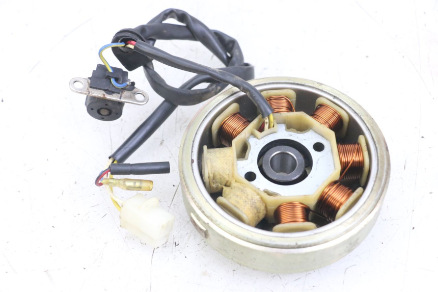 photo de ROTOR ESTATOR TNT MOTOR ROMA 10' 4T 50 (2007 - 2018) - Detalle de la pieza