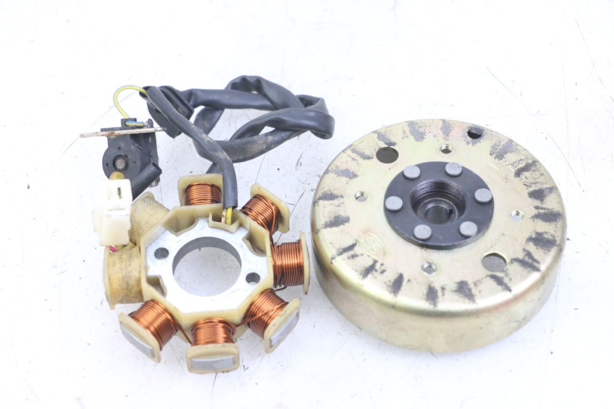 photo de ROTOR ESTATOR TNT MOTOR ROMA 10' 4T 50 (2007 - 2018) - Zoom estado de uso