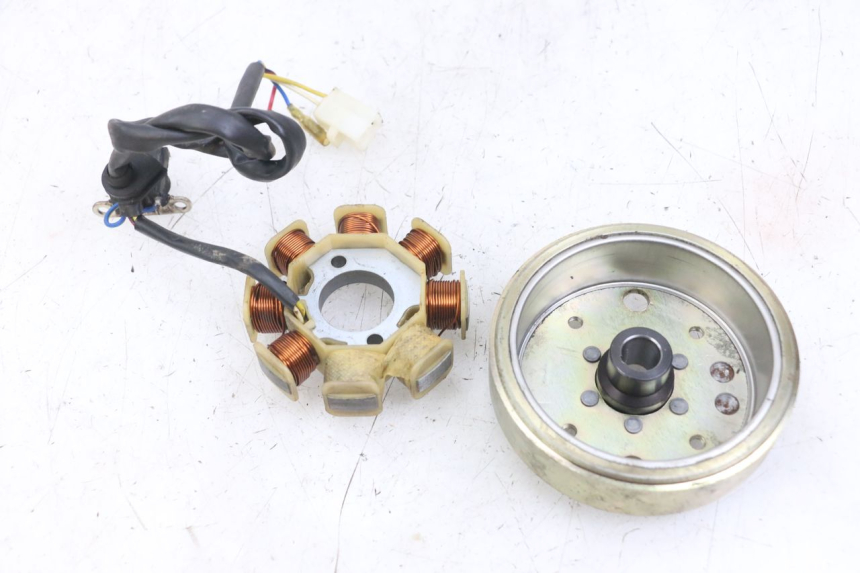 photo de ROTOR ESTATOR TNT MOTOR ROMA 10' 4T 50 (2007 - 2018) - Primer plano técnico