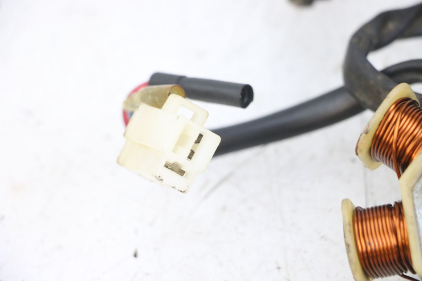 photo de ROTOR ESTATOR TNT MOTOR ROMA 10' 4T 50 (2007 - 2018) - Detalles de los puntos de fijación