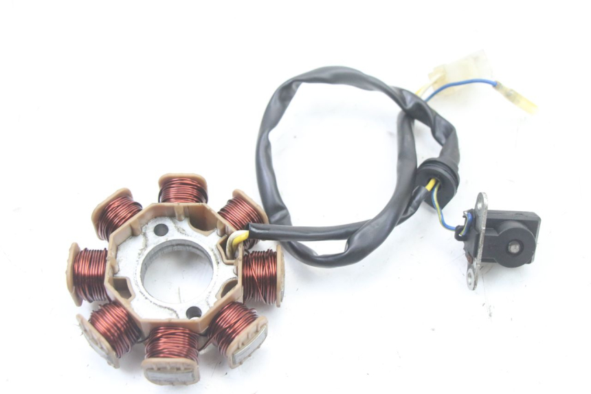 photo de ROTOR ESTATOR TNT MOTOR ROMA 10' 4T 50 (2019 - 2022) - Primer plano técnico