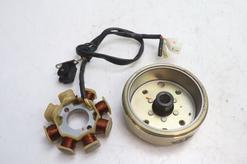 photo de ROTOR ESTATOR TNT MOTOR ROMA 10' 4T 50 (2007 - 2018) - Detalle de la pieza