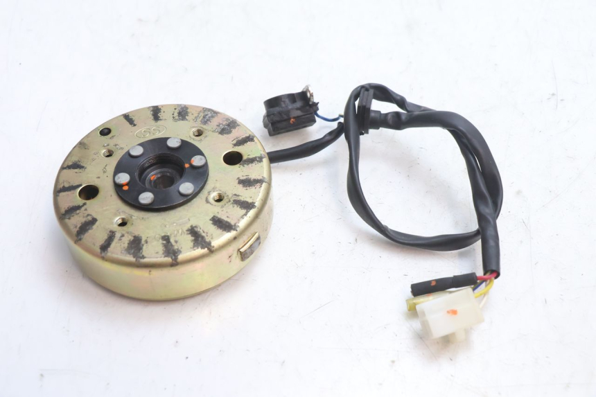photo de ROTOR ESTATOR TNT MOTOR ROMA 10' 4T 50 (2007 - 2018) - Zoom estado de uso