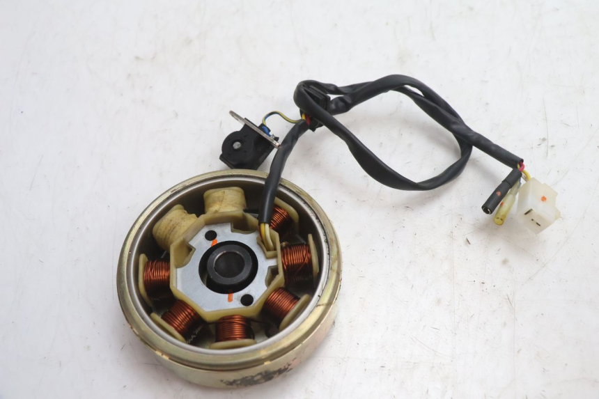 photo de ROTOR ESTATOR TNT MOTOR ROMA 10' 4T 50 (2007 - 2018) - Otra perspectiva