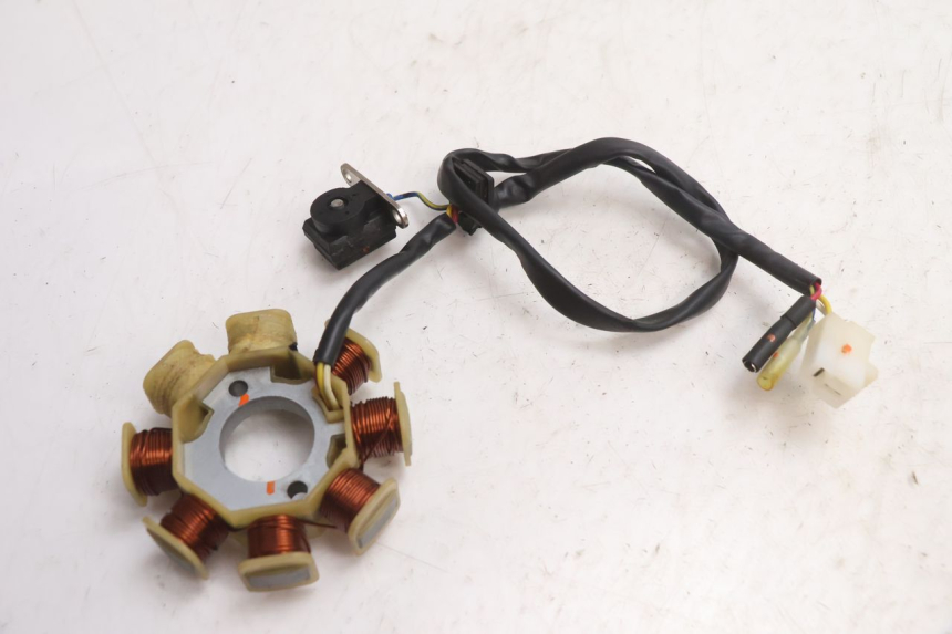 photo de ROTOR ESTATOR TNT MOTOR ROMA 10' 4T 50 (2007 - 2018) - Primer plano técnico