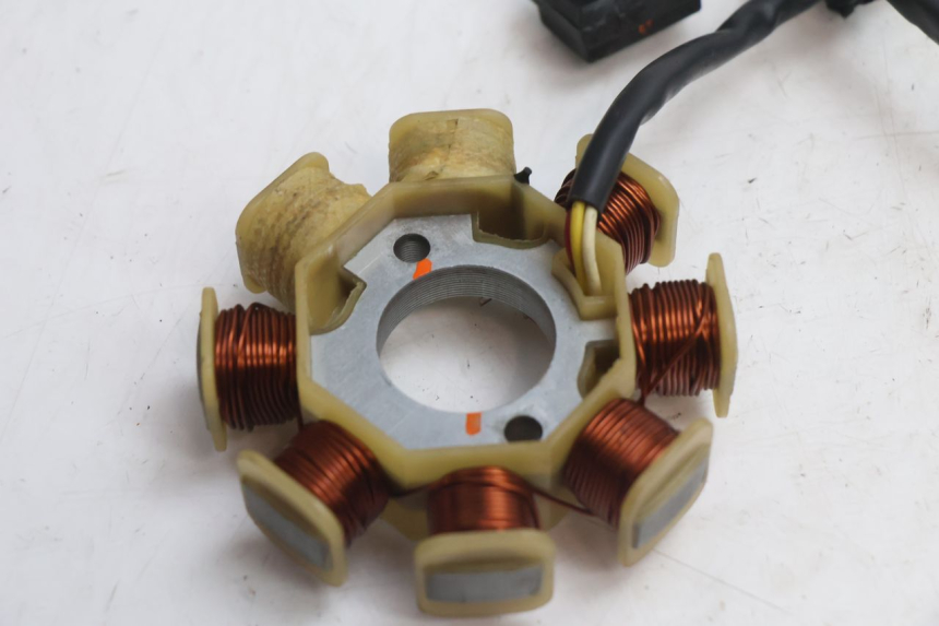 photo de ROTOR ESTATOR TNT MOTOR ROMA 10' 4T 50 (2007 - 2018) - Vista general del producto