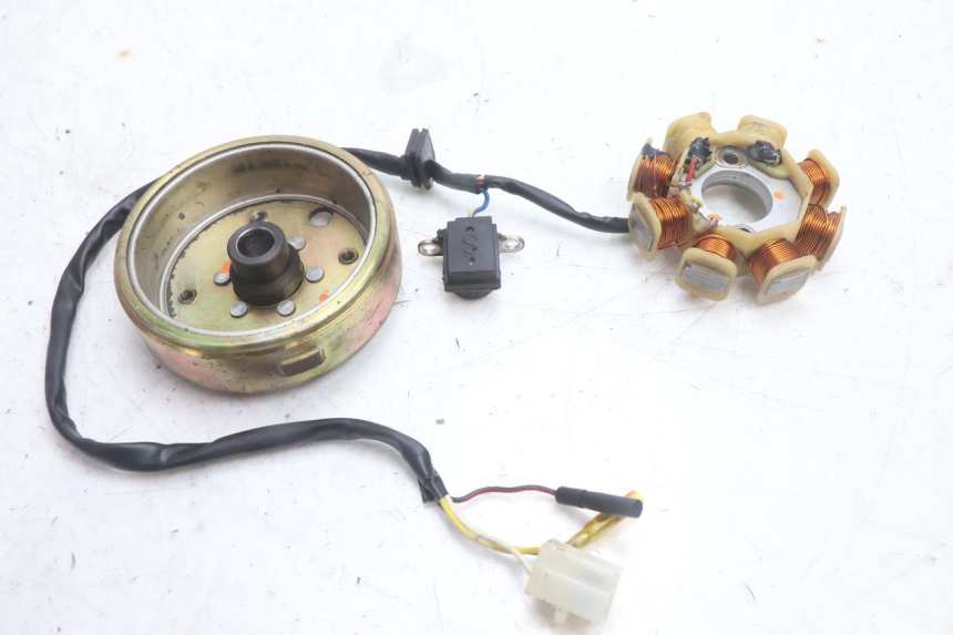 photo de ROTOR ESTATOR TNT MOTOR ROMA 10' 4T 50 (2007 - 2018) - Detalle de la pieza