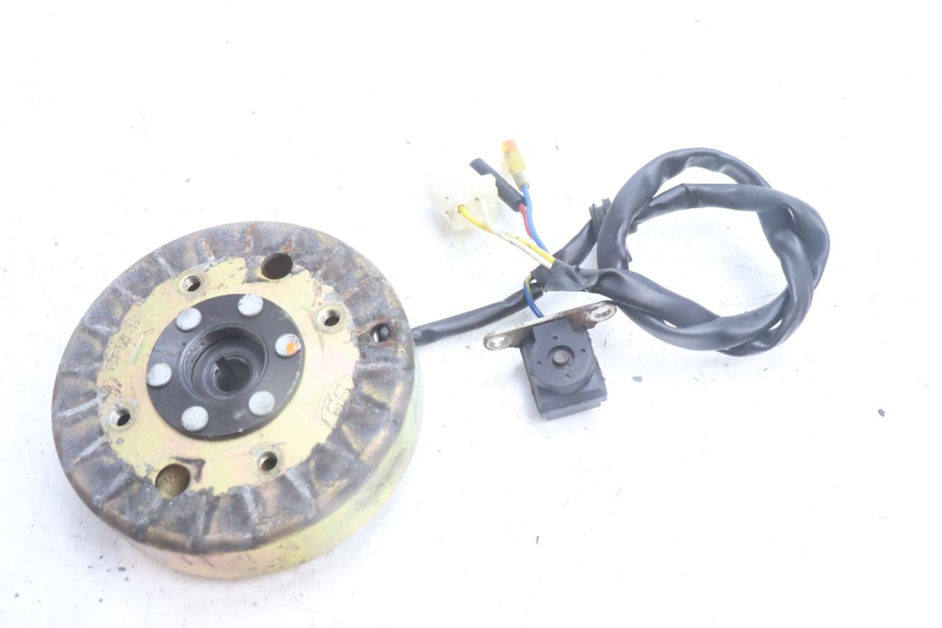 photo de ROTOR ESTATOR TNT MOTOR ROMA 10' 4T 50 (2007 - 2018) - Zoom estado de uso