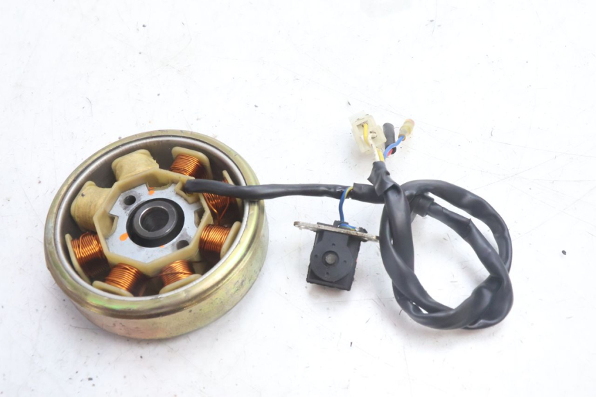 photo de ROTOR ESTATOR TNT MOTOR ROMA 10' 4T 50 (2007 - 2018) - Otra perspectiva