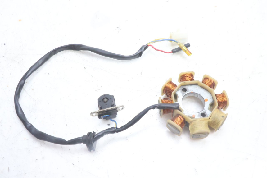 photo de ROTOR ESTATOR TNT MOTOR ROMA 10' 4T 50 (2007 - 2018) - Detalles de los puntos de fijación