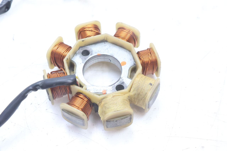 photo de ROTOR ESTATOR TNT MOTOR ROMA 10' 4T 50 (2007 - 2018) - Estado de la superficie y material
