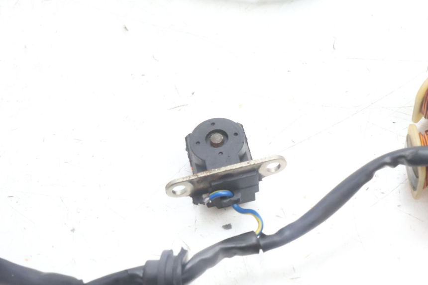 photo de ROTOR ESTATOR TNT MOTOR ROMA 10' 4T 50 (2007 - 2018) - Recambio usado revisado