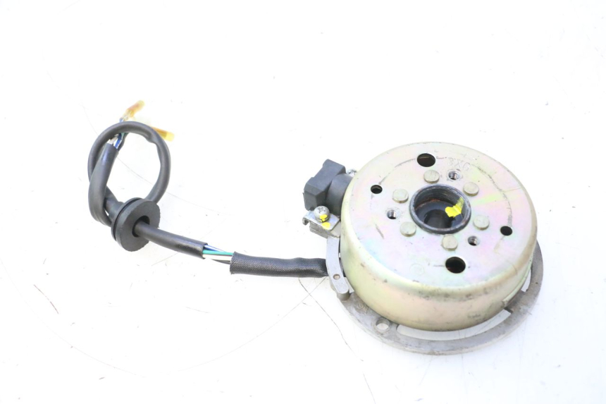 photo de ESTATOR TNT MOTOR ROMA 12' 2T 50 (2007 - 2018) - Detalle de la pieza