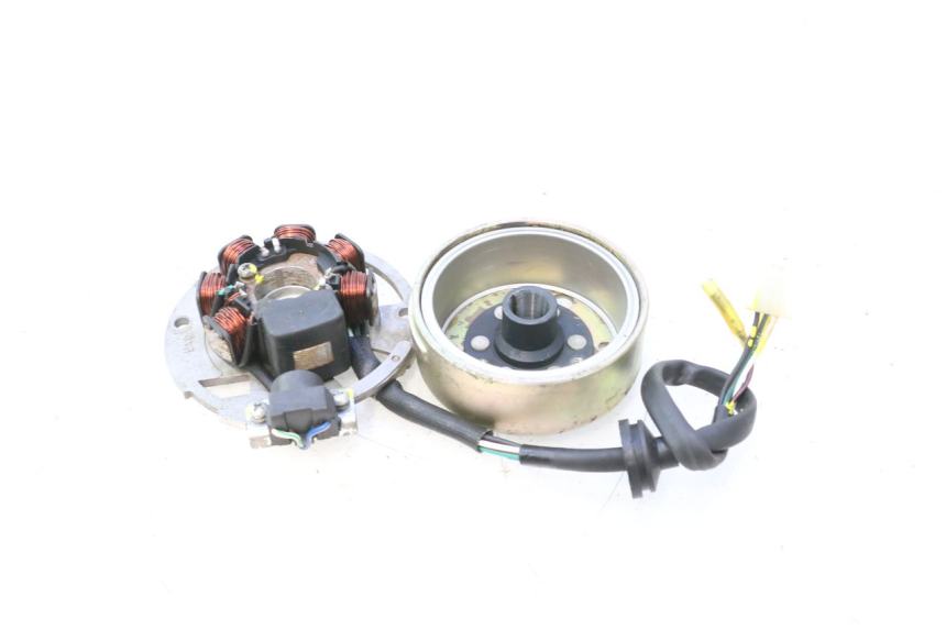 photo de ESTATOR TNT MOTOR ROMA 12' 2T 50 (2007 - 2018) - Vista general del producto