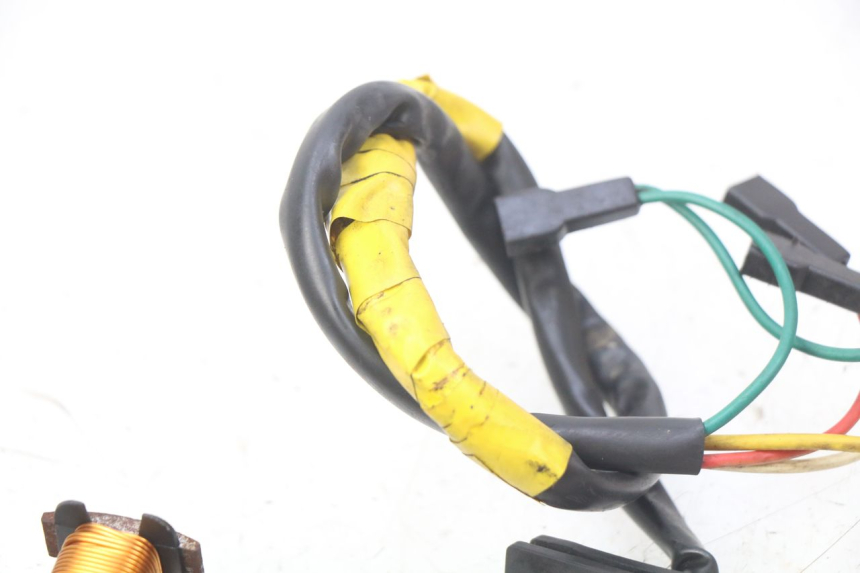 photo de ROTOR ESTATOR DERBI SENDA 50 (2003 - 2005) - Primer plano técnico