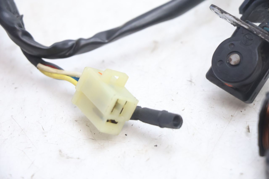 photo de ESTATOR PEUGEOT SPEEDFIGHT LC 50 (1996 - 2002) - Estado de la superficie y material