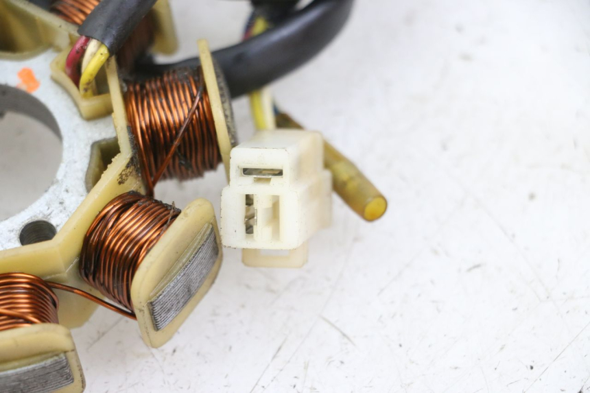 photo de ROTOR ESTATOR JM MOTORS SUNNY 50 (2017 - 2020) - Otra perspectiva