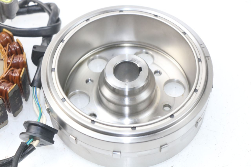 photo de ESTATOR YAMAHA TDM ABS 900 (2002 - 2014) - Marcados y referencias originales