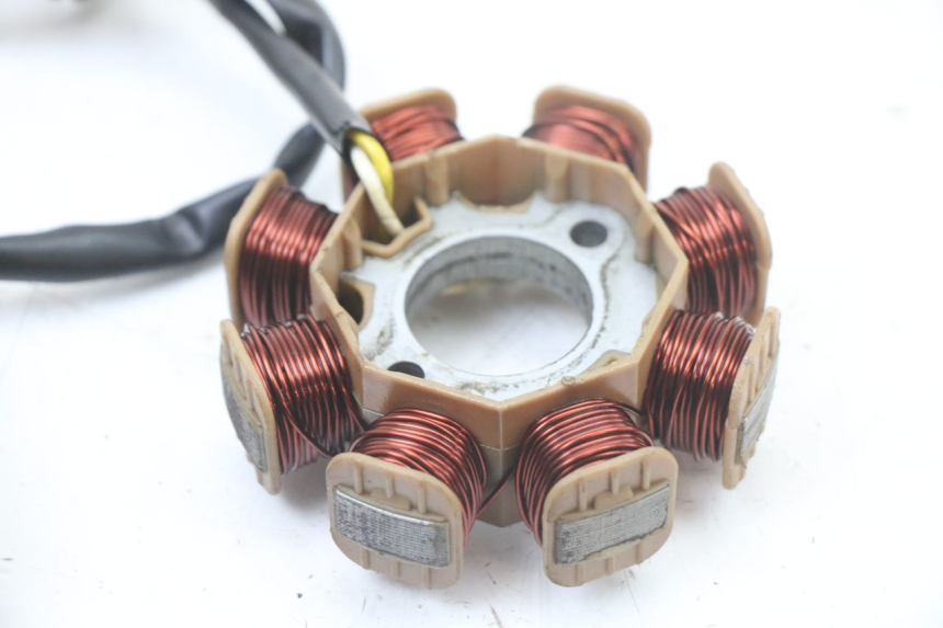 photo de ROTOR ESTATOR TNT MOTOR ROMA 10' 4T 50 (2019 - 2022) - Vista general del producto