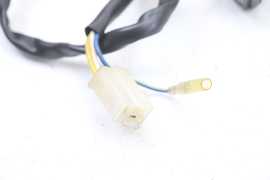 photo de ROTOR ESTATOR TNT MOTOR ROMA 10' 4T 50 (2019 - 2022) - Recambio usado revisado