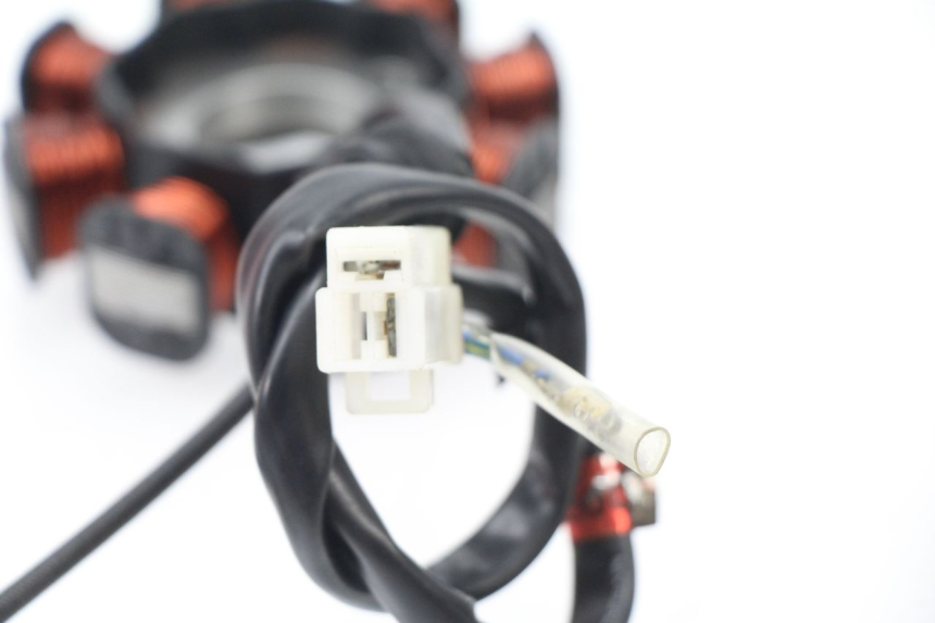 photo de ESTATOR SYM TONIK 125 (2010 - 2014) - Primer plano técnico