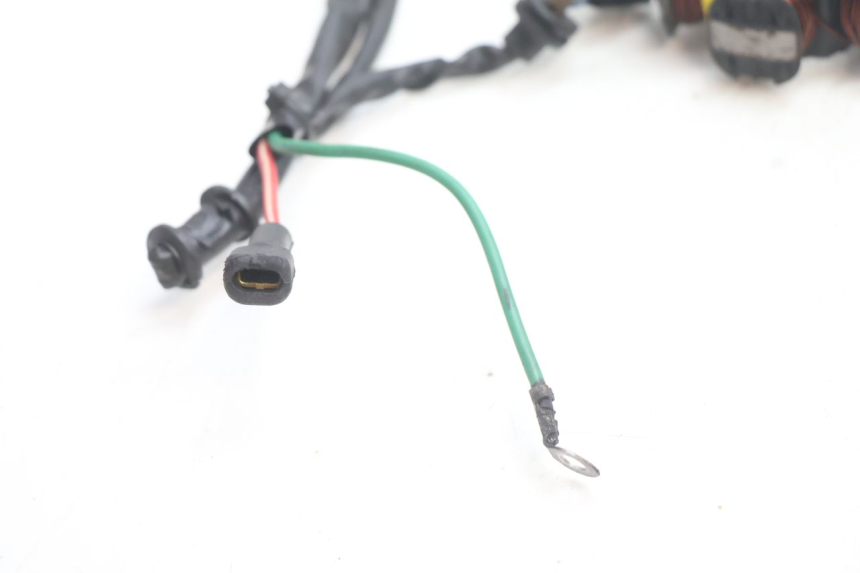 photo de ESTATOR PEUGEOT TREKKER 50 (1995 - 2004) - Estado de la superficie y material
